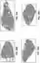 Fig. 27 - MICROPOST ARRAY APPARATUS AND COMPOSITE BIOLOGICAL SCAFFOLD