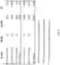 Fig. 09 - Silk-hyaluronic acid based tissue fillers and methods of using the same
