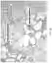 Fig. 30 - Silk-hyaluronic acid based tissue fillers and methods of using the same