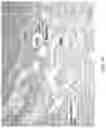 Fig. 41 - Silk-hyaluronic acid based tissue fillers and methods of using the same