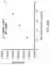 Fig. 53 - Silk-hyaluronic acid based tissue fillers and methods of using the same