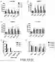 Fig. 06 - CROSSLINKED SILK FIBROIN-BASED COMPOSITIONS, AND METHODS OF MAKING AND USING THE SAME
