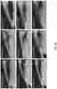 Fig. 13 - HYDROGELS AND METHOD OF MAKING THE SAME