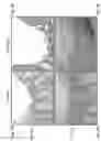 Fig. 04 - Cartilage Regeneration Using Chondrocyte And TGF-Beta