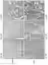 Fig. 09 - Cartilage Regeneration Using Chondrocyte And TGF-Beta