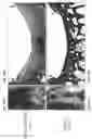 Fig. 15 - Cartilage Regeneration Using Chondrocyte And TGF-Beta