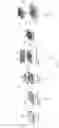 Fig. 04 - SYSTEMS AND METHODS FOR MAGNET-INDUCED ASSEMBLY TISSUE GRAFTS