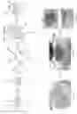 Fig. 05 - SYSTEMS AND METHODS FOR MAGNET-INDUCED ASSEMBLY TISSUE GRAFTS