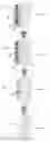 Fig. 06 - SYSTEMS AND METHODS FOR MAGNET-INDUCED ASSEMBLY TISSUE GRAFTS