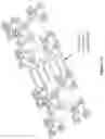 Fig. 19 - ENERGY AUGMENTATION STRUCTURES, EMITTERS OR COLLECTORS, FOR USE IN NON-INVASIVE IN-SITU PHOTOBIOMODULATION