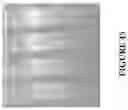 Fig. 50 - ENERGY AUGMENTATION STRUCTURES, EMITTERS OR COLLECTORS, FOR USE IN NON-INVASIVE IN-SITU PHOTOBIOMODULATION