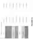 Fig. 58 - ENERGY AUGMENTATION STRUCTURES, EMITTERS OR COLLECTORS, FOR USE IN NON-INVASIVE IN-SITU PHOTOBIOMODULATION