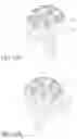 Fig. 29 - Method and Apparatus for Irradiating a Surface with Pulsed Light