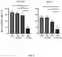 Fig. 05 - METHODS FOR MODULATION OF AND SENSITIZATION TO SERINE AND GLYCINE LIMITATION