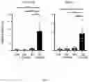 Fig. 08 - METHODS FOR MODULATION OF AND SENSITIZATION TO SERINE AND GLYCINE LIMITATION