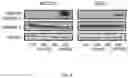 Fig. 09 - METHODS FOR MODULATION OF AND SENSITIZATION TO SERINE AND GLYCINE LIMITATION