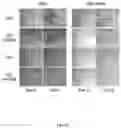 Fig. 14 - METHODS FOR MODULATION OF AND SENSITIZATION TO SERINE AND GLYCINE LIMITATION