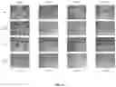 Fig. 17 - METHODS FOR MODULATION OF AND SENSITIZATION TO SERINE AND GLYCINE LIMITATION
