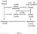 Fig. 18 - METHODS FOR MODULATION OF AND SENSITIZATION TO SERINE AND GLYCINE LIMITATION