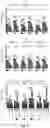 Fig. 22 - METHODS FOR MODULATION OF AND SENSITIZATION TO SERINE AND GLYCINE LIMITATION