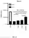 Fig. 26 - METHODS FOR MODULATION OF AND SENSITIZATION TO SERINE AND GLYCINE LIMITATION