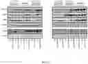 Fig. 32 - METHODS FOR MODULATION OF AND SENSITIZATION TO SERINE AND GLYCINE LIMITATION