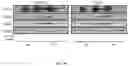 Fig. 36 - METHODS FOR MODULATION OF AND SENSITIZATION TO SERINE AND GLYCINE LIMITATION