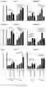 Fig. 37 - METHODS FOR MODULATION OF AND SENSITIZATION TO SERINE AND GLYCINE LIMITATION