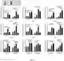 Fig. 38 - METHODS FOR MODULATION OF AND SENSITIZATION TO SERINE AND GLYCINE LIMITATION