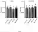 Fig. 49 - METHODS FOR MODULATION OF AND SENSITIZATION TO SERINE AND GLYCINE LIMITATION