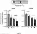 Fig. 60 - METHODS FOR MODULATION OF AND SENSITIZATION TO SERINE AND GLYCINE LIMITATION