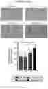 Fig. 63 - METHODS FOR MODULATION OF AND SENSITIZATION TO SERINE AND GLYCINE LIMITATION