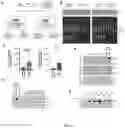 Fig. 68 - METHODS FOR MODULATION OF AND SENSITIZATION TO SERINE AND GLYCINE LIMITATION