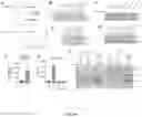 Fig. 70 - METHODS FOR MODULATION OF AND SENSITIZATION TO SERINE AND GLYCINE LIMITATION