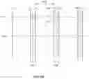 Fig. 23 - High bandwidth binary multi-leaf collimator design