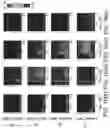 Fig. 20 - Systems and methods for opening of a tissue barrier in primates