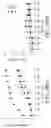 Fig. 26 - Systems and methods for opening of a tissue barrier in primates