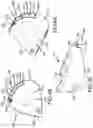 Fig. 27 - Adjustable weight club head