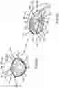 Fig. 43 - Adjustable weight club head