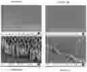 Fig. 04 - CATALYTIC PLASMONIC NANOMATERIAL