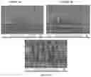 Fig. 05 - CATALYTIC PLASMONIC NANOMATERIAL