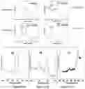 Fig. 17 - CATALYTIC PLASMONIC NANOMATERIAL