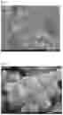 Fig. 02 - CHA-type zeolite and manufacturing method thereof