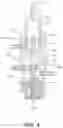 Fig. 05 - Apparatus for ejecting viscous liquid aerosol