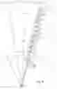 Fig. 07 - Method for producing at least one solid-body layer in accordance with predetermined geometry data