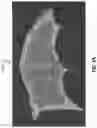 Fig. 06 - 3D AXIAL GROWTH OBJECT, AND APPARATUS FOR AND METHOD OF MAKING THEREOF