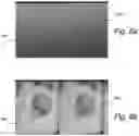Fig. 08 - Security document with double verification lenses