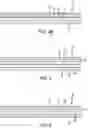 Fig. 04 - DISPLAY ASSEMBLIES AND METHODS FOR APPLYING THE SAME TO VULCANIZED RUBBER ARTICLES