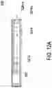 Fig. 28 - Method of air pollution filtration in vehicle