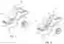 Fig. 08 - Side-by-side ATV